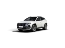 Hyundai Tucson 1.6 T-GDI MHEV 118kW 20 Y Luxury 4x2, hybrid na operativní leasing