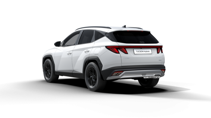 Hyundai Tucson Go Czech N Line! 1.6 T-GDI Hybrid 1.49 kWh 176 kW 6A na operativní leasing